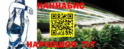 стафф Новоалександровск