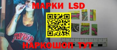 стафф Новоалександровск
