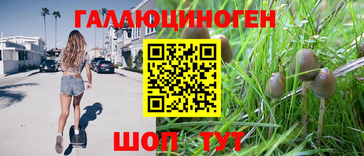 Оренбург  Галлюциногенные грибы Magic Shrooms  Вход с VPN 